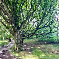 24-07-01 11-32-34 0058